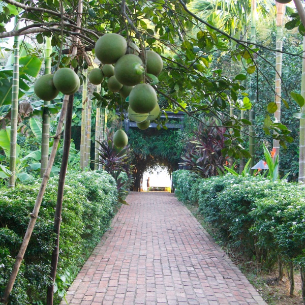 Thuy Bieu village